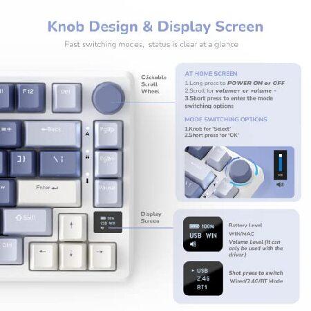 RK ROYAL KLUDGE M75 Mechanical Keyboard， 2.4GHz Wireless/Bluetooth/USB-C Wired Gaming Keyboard 75% Layout 81 Keys with OLED Smart Display ＆ Knob， RGB 