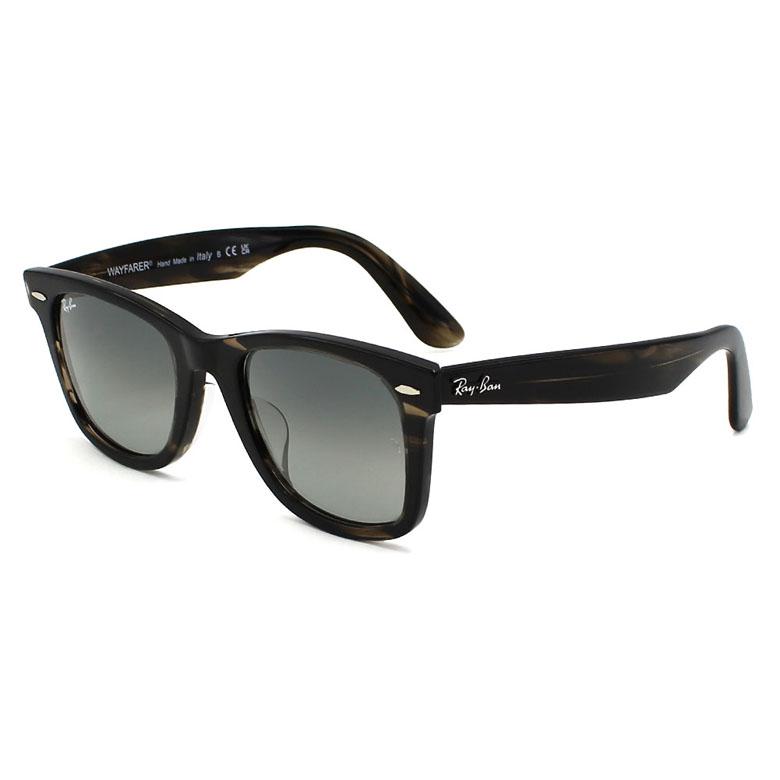 Ray-Ban レイバン Ray Ban サングラス ウェイファーラー ロー