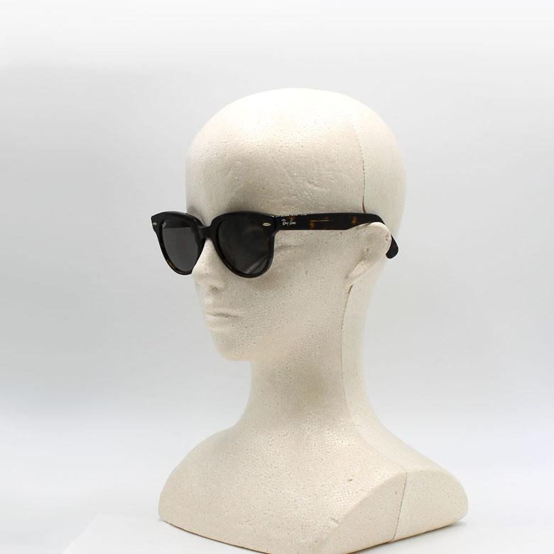Ray-Ban（レイバン） Ray Ban サングラス オリオン ORION ローブリッジ