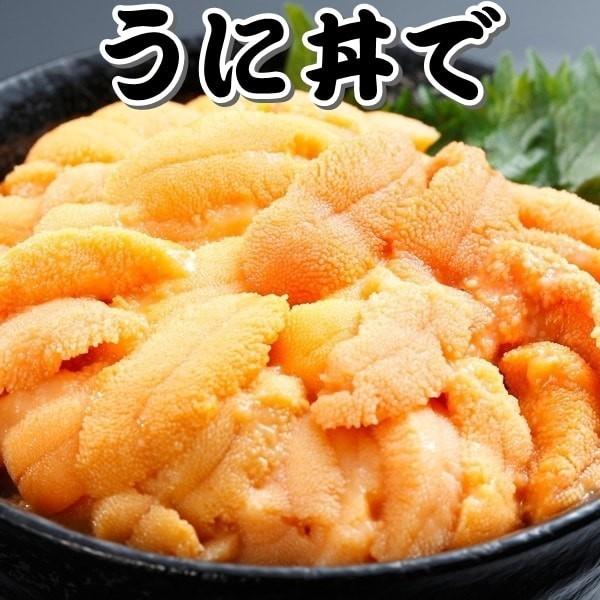 生 ウニ 100g 無添加 試食検品済み お寿司 うに丼 お酒の肴