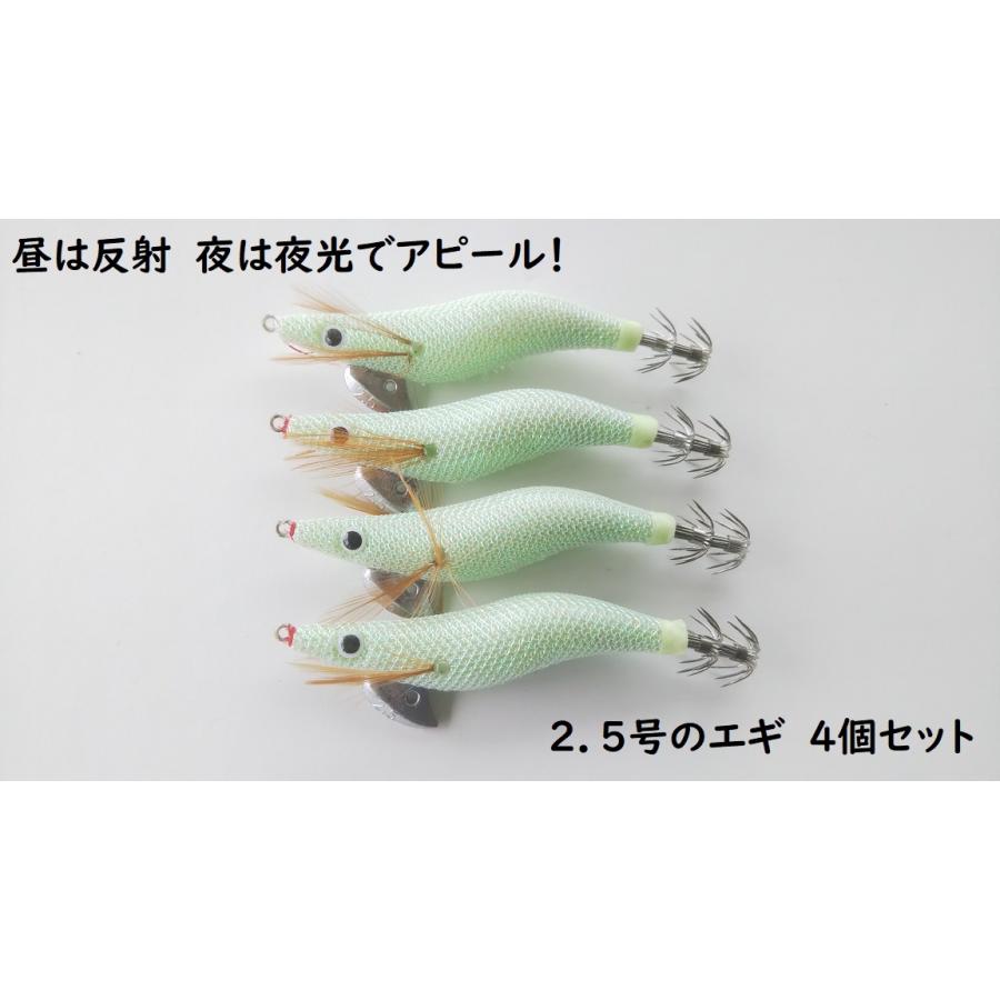 昼も夜も光る エギ 2 5号 4個セット 光で反射 夜光 蓄光 タコ イカ釣り デイゲーム ナイトゲーム フラッシュ フラッシング Hikaruegi25 雪見堂yahoo 店 通販 Yahoo ショッピング