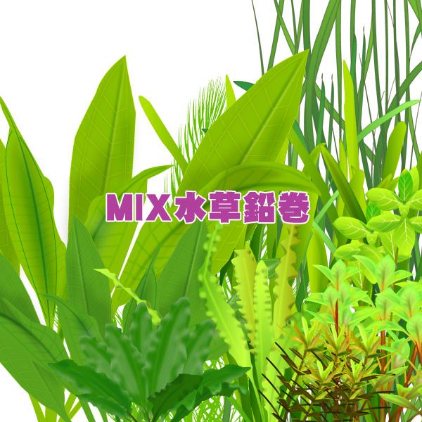 水草 おまかせ水草 鉛巻きmix ミックス 鉛巻1つに数種の水草 B1 1 熱帯魚通販のネオス 通販 Yahoo ショッピング