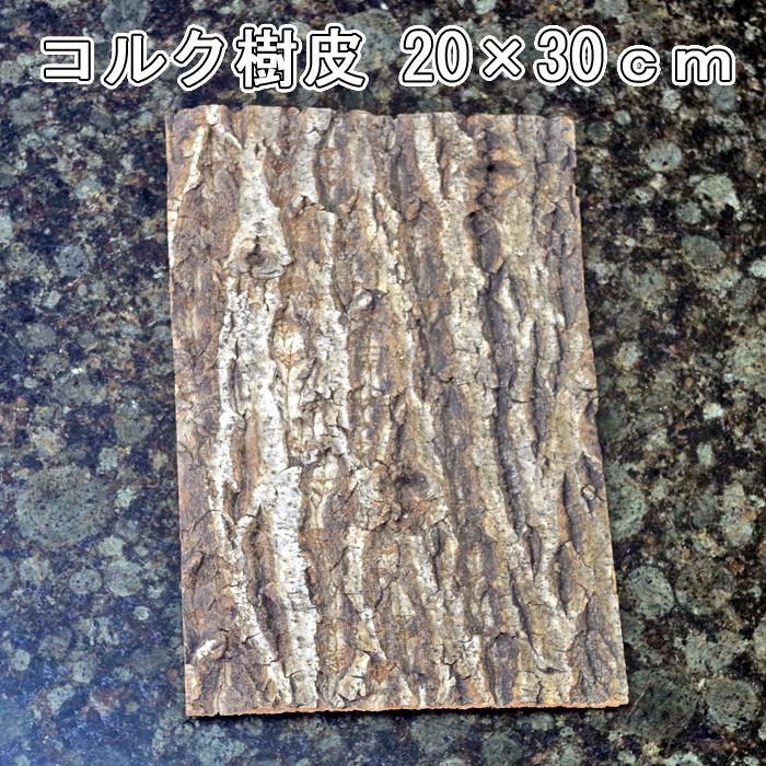 コルク樹皮 20×30cm 厚1cm以下 【5枚】 バーク コルク ボード 板