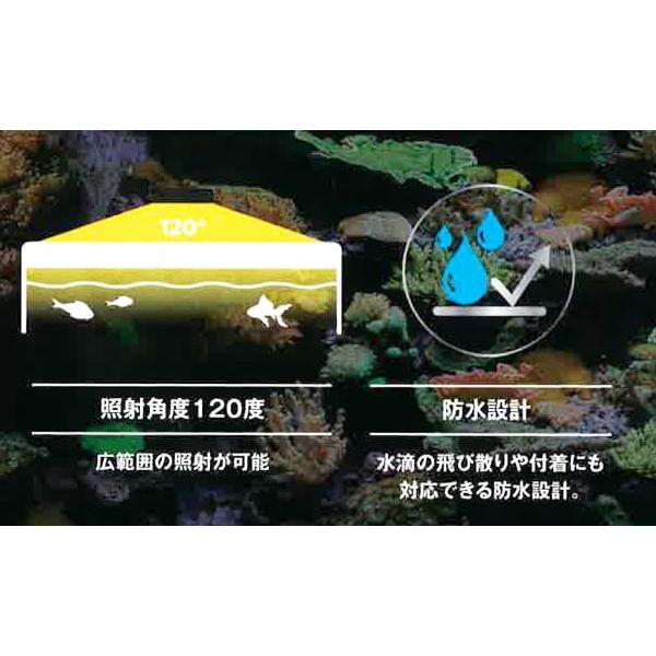 GEX（ジェックス） (アクアリウム 用品)GEX FLUVAL MARINE NANO