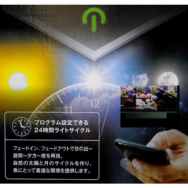 GEX（ジェックス） (アクアリウム 用品)GEX FLUVAL PLANT 600