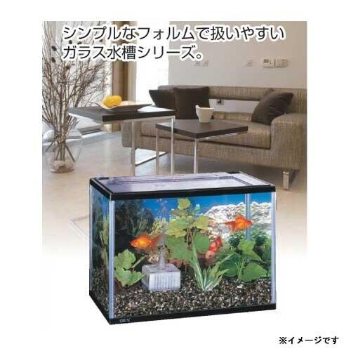 アクアリウム 用品)GEX マリーナ幅60cm水槽LOW MR600BKL-N 水槽/熱帯魚