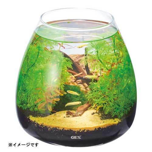 アクアリウム 用品)GEX グラスアクア ティアー 小型水槽 水槽