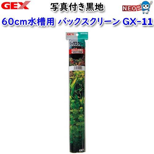 GEX（ジェックス） (アクアリウム 用品)GEX バックスクリーン60写真付