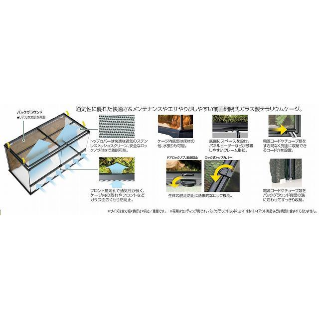 GEX（ジェックス） (爬虫類 用品)GEX グラステラリウム 4545 爬虫類