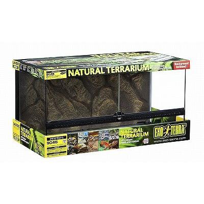 新品　グラステラリウム 4545 爬虫類　両生類　ケージ 楽天市場】爬虫類ケージ GEX エキゾテラ グラステラリウム