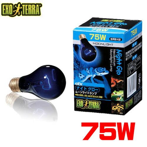 GEX（ジェックス） (爬虫類 用品)GEX EXO TERRA（エキゾテラ） ナイト