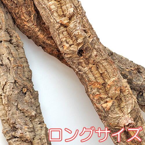 爬虫類 用品)枝コルク 棒 70-80cm 1本 レイアウト 水槽/熱帯魚/観賞魚