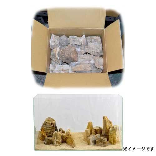 ジュン (アクアリウム 用品)JUN 天然飾り石 木化石(もくかせき) 20kg