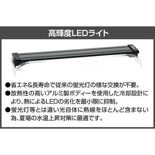 (アクアリウム 用品)コトブキ　プログレ450　5点　LED　W　460　×　D　300　×　H　340　水槽セット/飼育セット