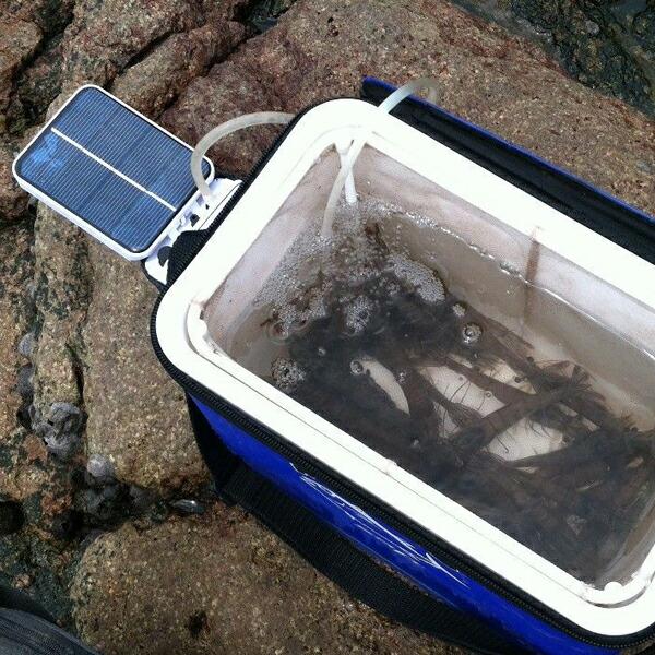 ネオス】ソーラー充電式 屋外エアーポンプ 防水 静音 アウトドア