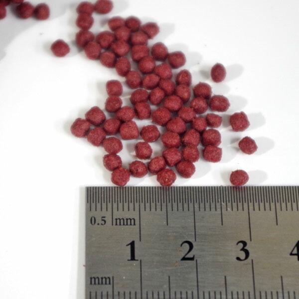 アクアリウム 用品 Every Day Red 華羅漢 フラワーホーン専用色揚げ飼料 小粒 浮上性 餌 えさ エサ 観賞魚 餌やり 花羅漢祭 Oh 1 熱帯魚通販のネオス 通販 Yahoo ショッピング