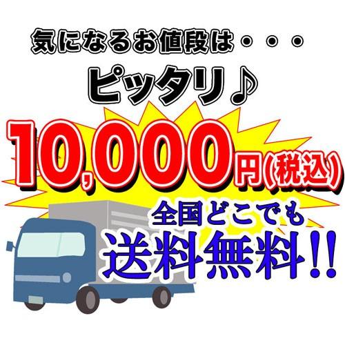 水槽set】スーパーSET 13点 60cm 水槽セット ビギナーから経験者まで