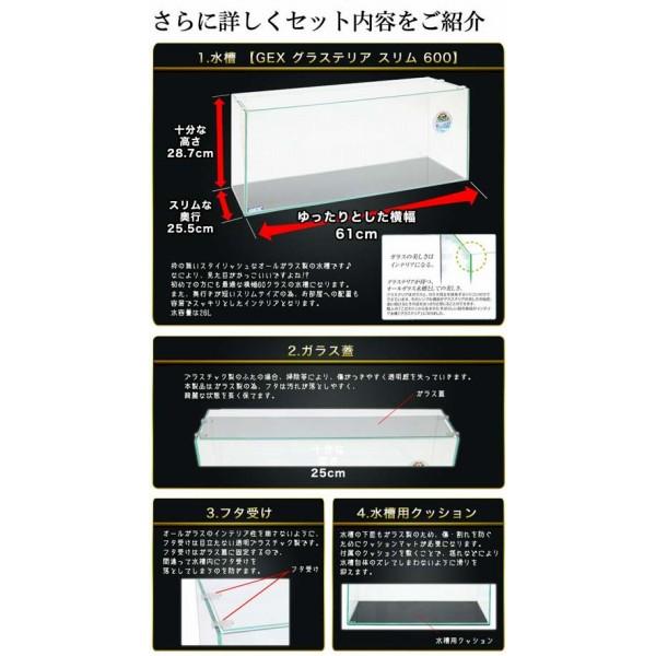 水槽set】スーパーSET 13点 60cm 水槽セット ビギナーから経験者まで 