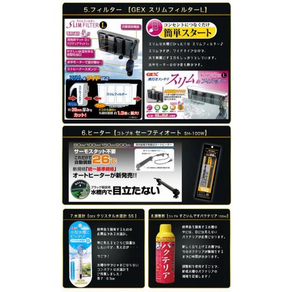 水槽set】スーパーSET 13点 60cm 水槽セット ビギナーから経験者まで
