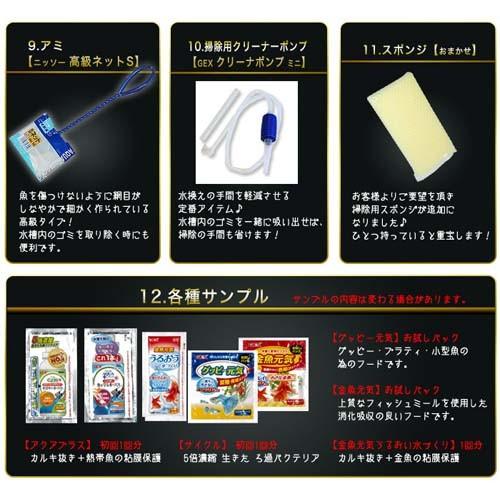 水槽set】スーパーSET 13点 60cm 水槽セット ビギナーから経験者まで 