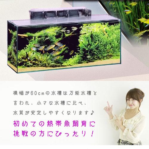 アクアリウム 用品)スーパーSET 13点 60cm 水槽セット : 熱帯魚 アクアリウム 用品)スーパーSET 13点 60cm 水槽セット : 熱帯魚