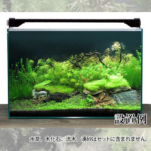 アクアリウム 用品)【水槽set】新ハイクオリティ豪華20点 60cm水槽 