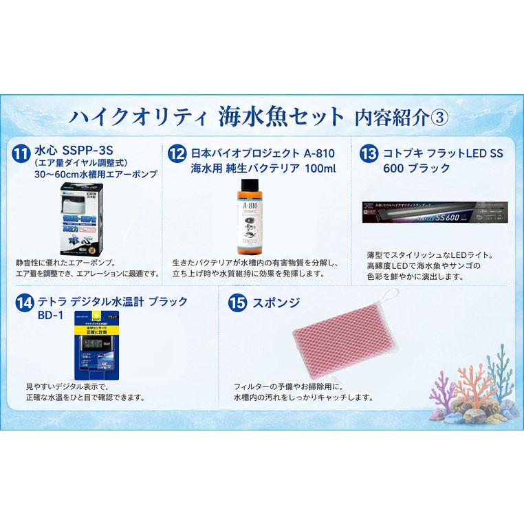 ハイクオリティ海水魚セット 60cm水槽 フルセット 外部フィルター LEDライト ヒーター付き 海水魚飼育セット【お部屋の中の水族館シリーズ】 |  | 05