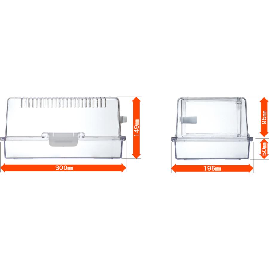 水槽セット】ヒョウモントカゲモドキ 飼育セット 幼体〜若個体向け A