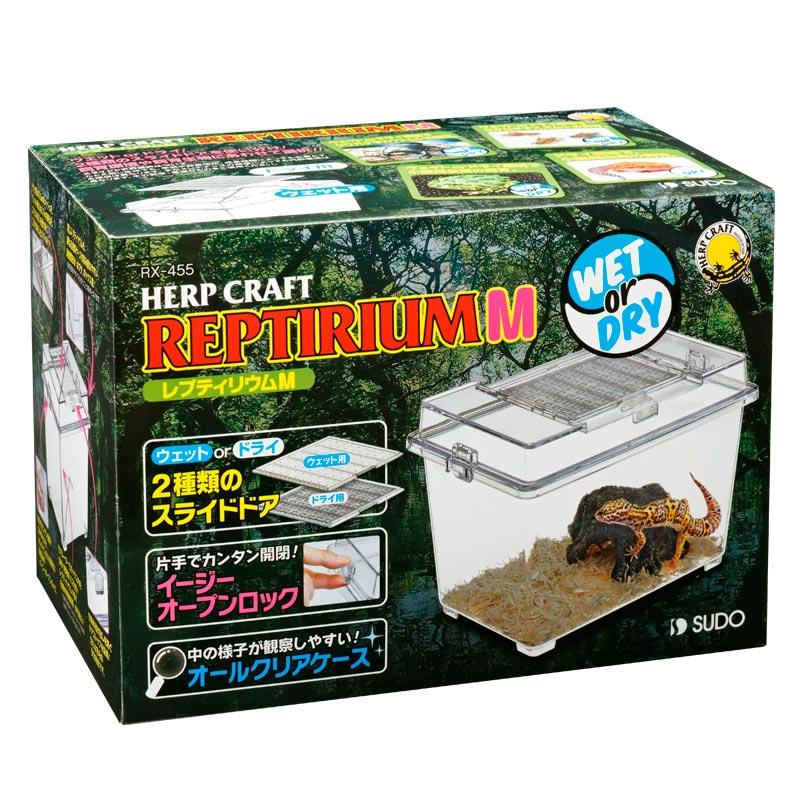 水槽セット】ヒョウモントカゲモドキ 飼育セット 幼体〜若個体向け B
