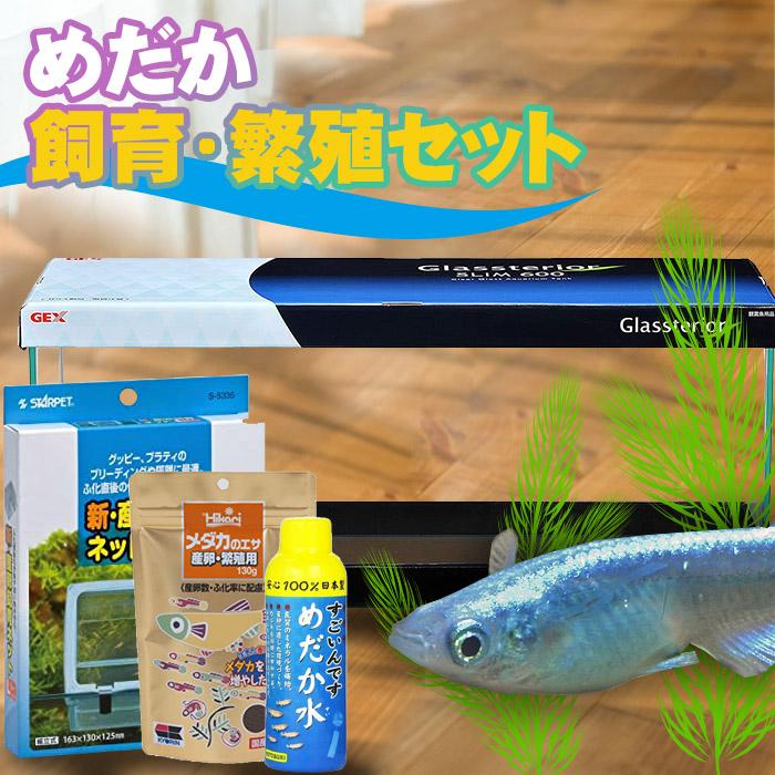 メダカ繁殖キット