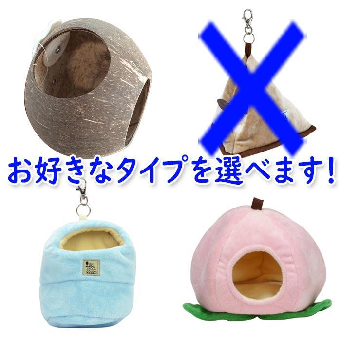 これだけでOK！セット】7点 フクロモモンガ 飼育セット・スターター