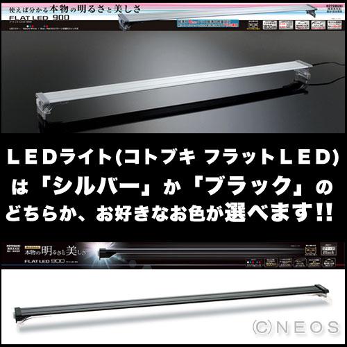 (アクアリウム 用品)【水槽セット】コトブキ　90cm水槽　レグラスフラットF-900L水槽セット　+　選べるLEDライト　+　選べる水槽台セット　大特価　取寄商品