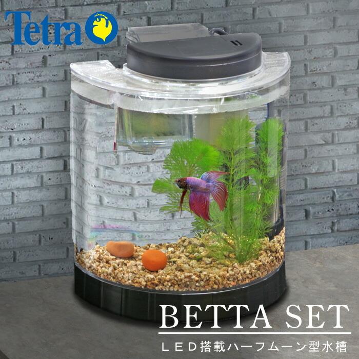 ベタ飼育セット ハーフムーンタイプ 水槽セット 飼育セット Set 3 熱帯魚通販のネオス 通販 Yahoo ショッピング
