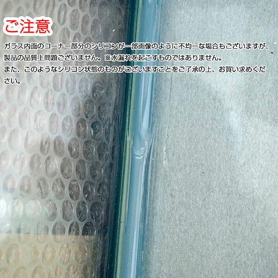 10点セット】洗浄済/美品 鈴木製作所 ガラス水槽 45cm らんちう水槽（