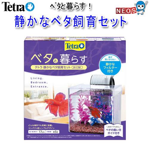 熱帯魚通販のネオステトラ 静かなベタ飼育セット Sf 17bf 人気を誇る