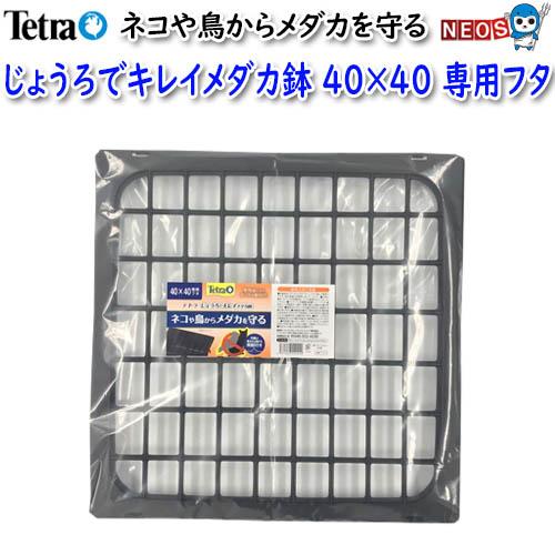 Tetra（テトラ） じょうろでキレイメダカ鉢 40×40 専用フタ : 熱帯魚