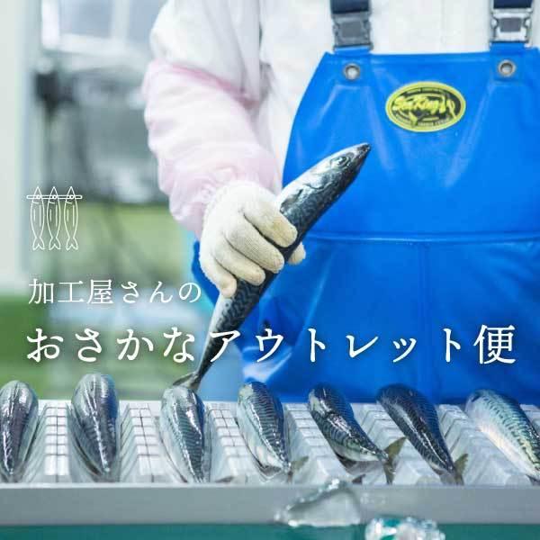 【期間限定】　いしのまき潮風フルセット　石巻の海鮮を楽しもう　おさかなアウトレット便　全商品詰め合わせ　セット　冷凍　コロナ支援商品｜fishermanjapan｜02