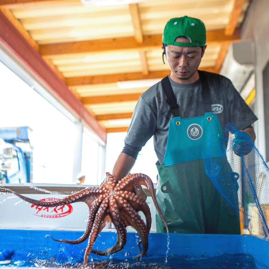 FISHERMAN JAPAN × URBAN RESEARCH　サロペットパンツ/漁師ウェア/マリンウェア/漁師合羽/水産合羽 | URBAN RESEARCH | 06