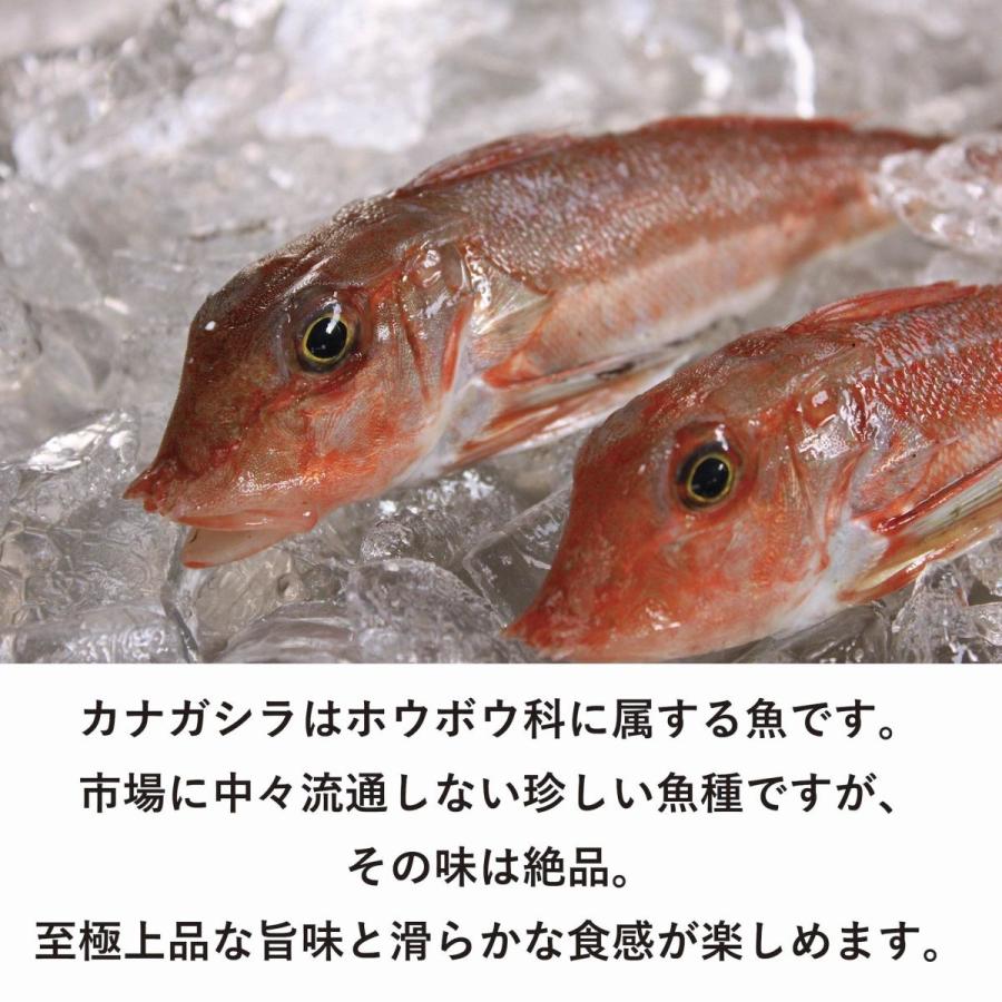 幸せを呼ぶ 金頭 カナガシラ の一口フライ Fj 310 フィッシャーマンジャパン 通販 Yahoo ショッピング