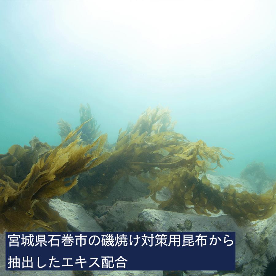 KAISO Soap 海に優しい 天然由来 高保湿 子どもから大人まで使える  FISHERMAN JAPAN × URBAN RESEARCH × FERMENSTATION |  | 05