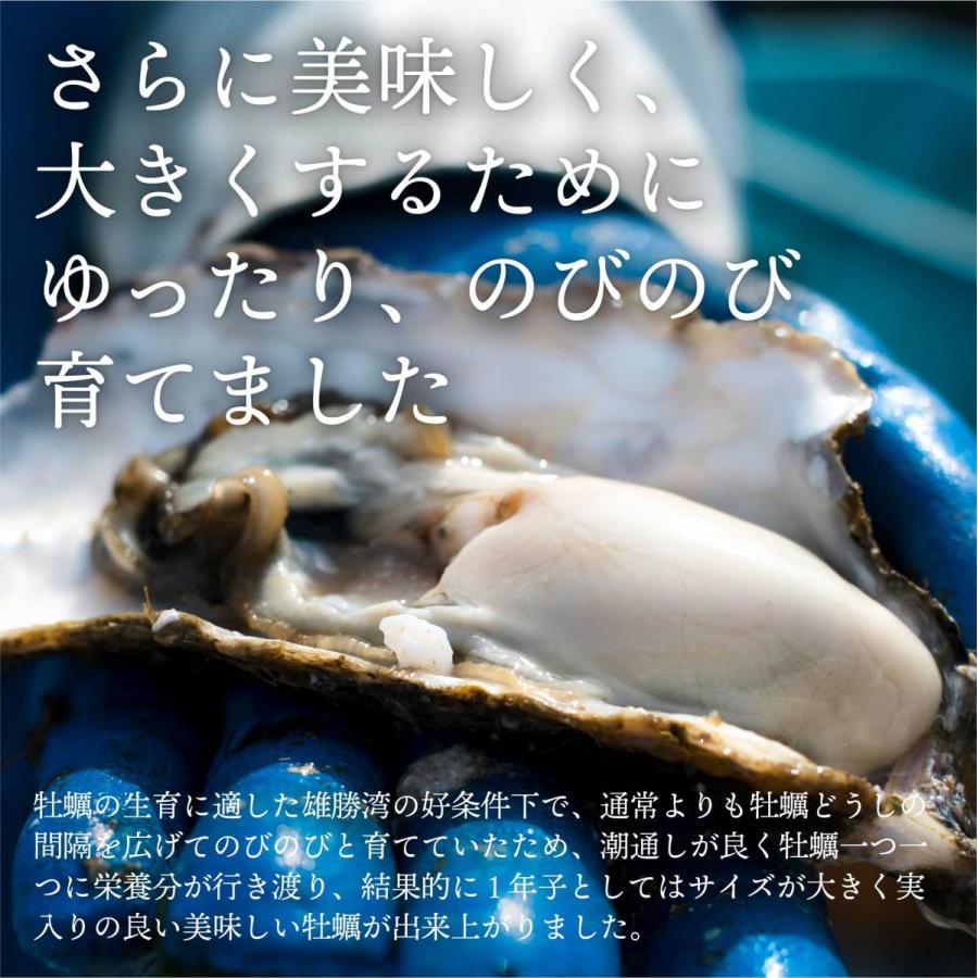 『次世代の”若手漁師”と一緒に作った「牡蠣の潮煮」』 1パック170g(10~12粒程度)×3点セット｜fishermanjapan｜10