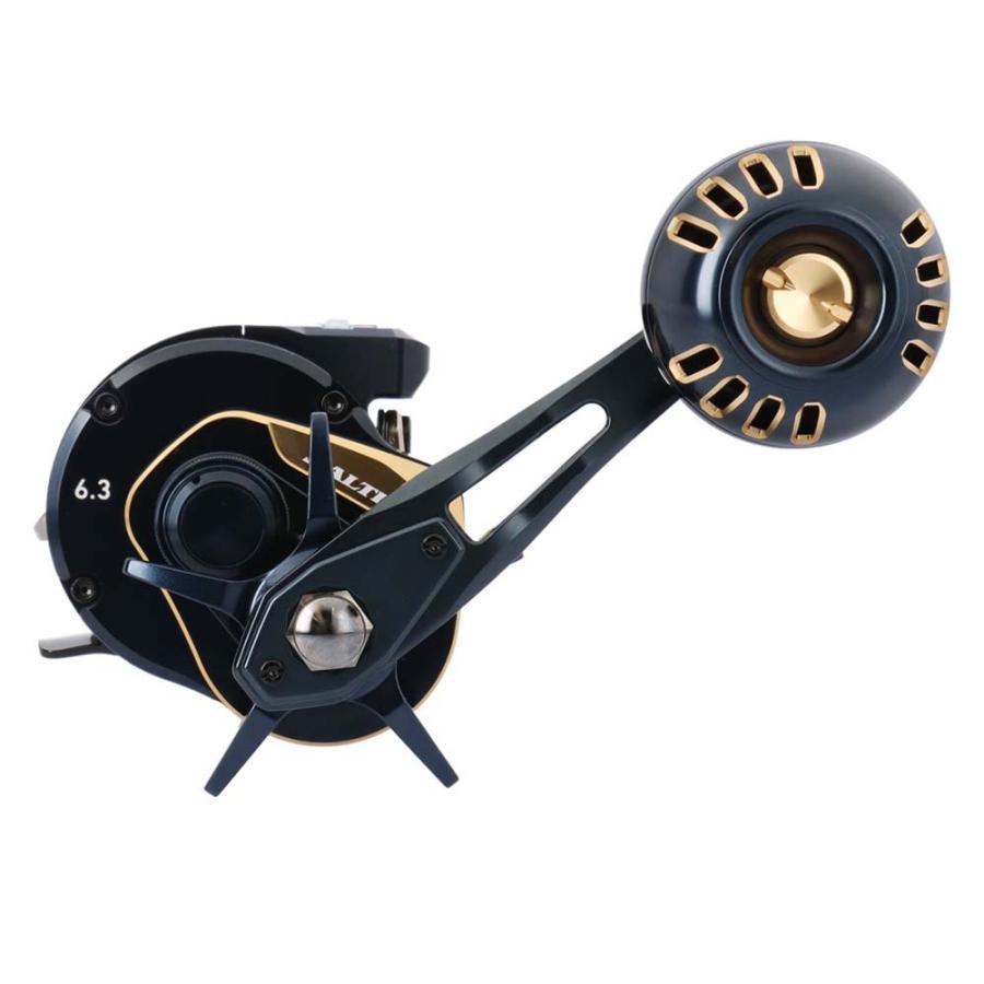 DAIWA（ダイワ） 25ソルティガ IC 300-C : いのまた釣具店 Yahoo!店