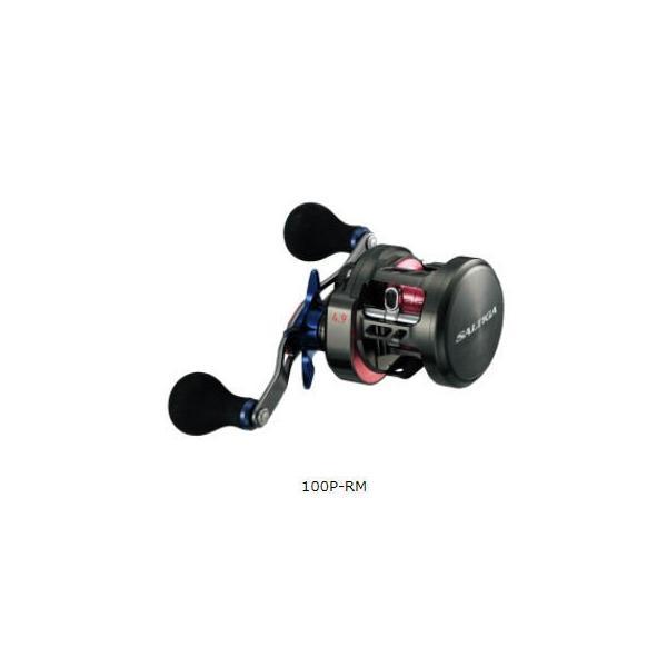 ダイワ　17ソルティガ　BJ100P DAIWA（ダイワ） 17ソルティガ BJ100P-RM/BJ100PL-RM : いのまた釣具店