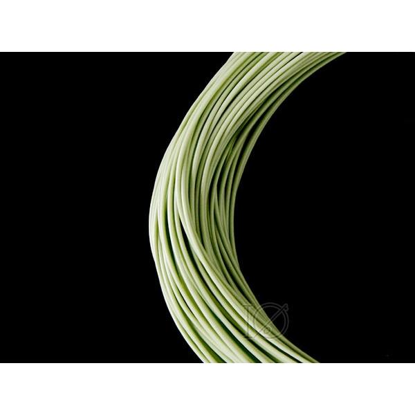 イオ】フライライン DT-3F moss green Fly line フローティング 両端