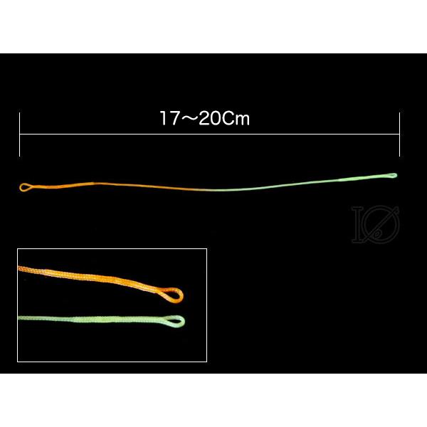 ブレイデッドループ ループコネクタ 30LB 両端ループ 2本セット loopconnectorW30LBフィッシング イオ