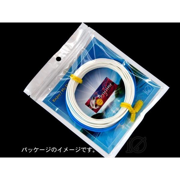 イオ】スカジット シューティングヘッド Skagit 150 grain white&blue