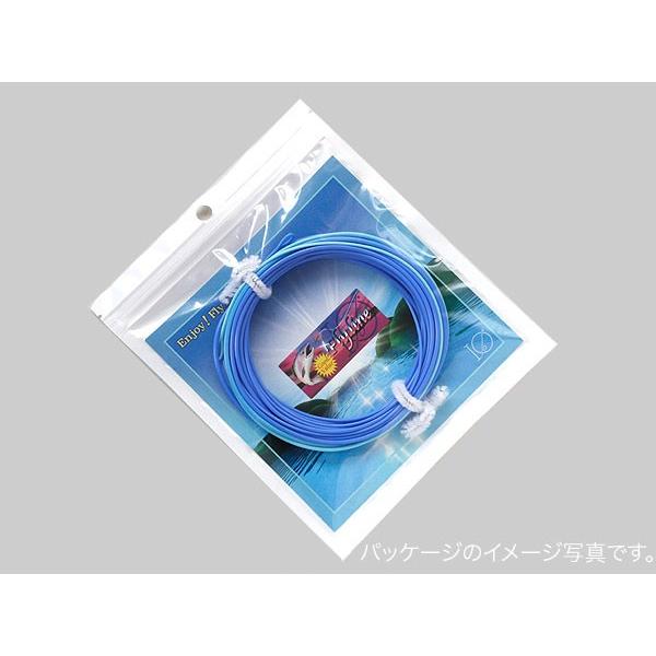 イオ】 スカジット シューティングヘッド Skagit 300 grain