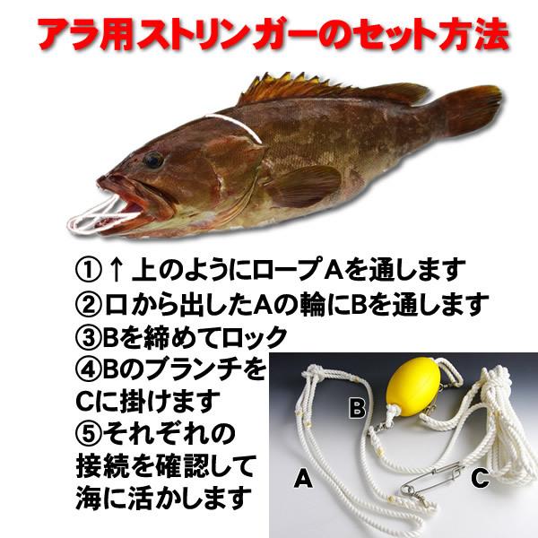 クエストリンガー　逃げないストリンガー　30キロ　巨大魚　強いストリンガー　アラ（クエ）用ストリンガー｜fishing-ishinoya｜07