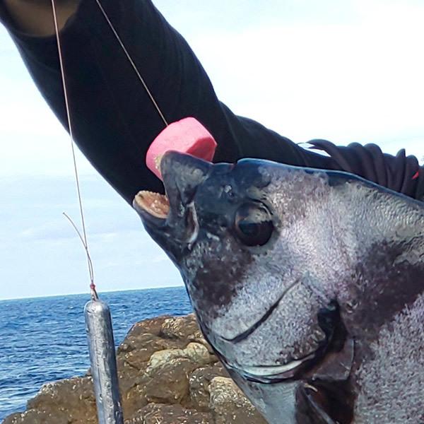 石鯛仕掛け 捨て糸 石鯛ステイト 石鯛ライン 石鯛専用捨て糸 ミスター