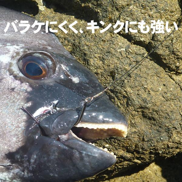 石鯛仕掛け 石鯛ワイヤー 瀬ズレワイヤー ハリスワイヤー ザ・ロック